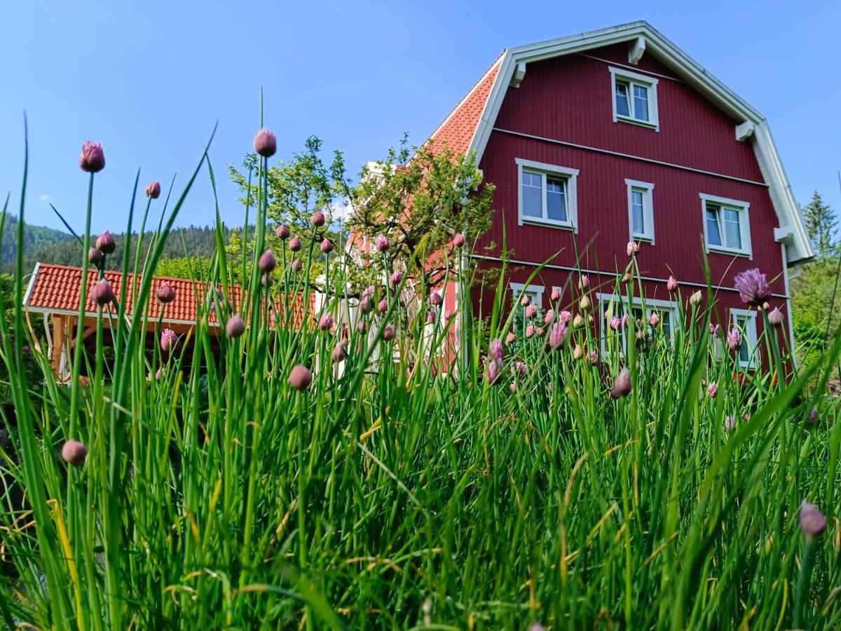 Haus Gruenfels Apartment Мурау Екстериор снимка